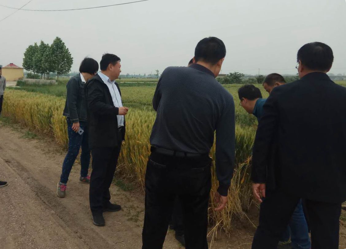 2_副本.jpg 2_副本.jpg