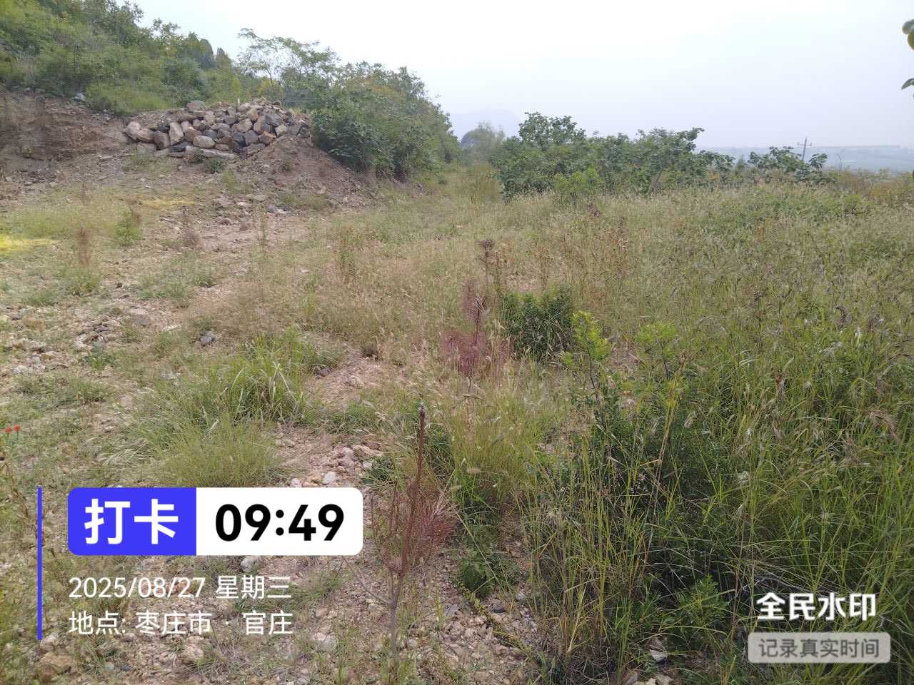 图片8.png